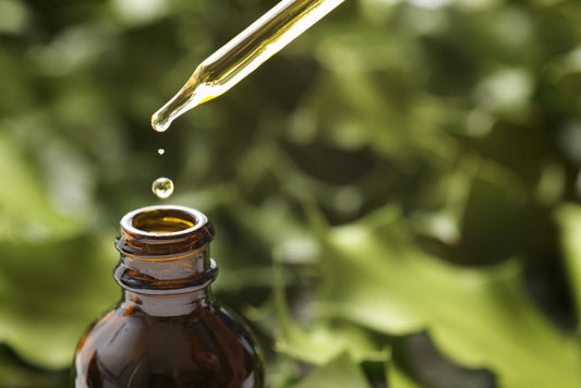 What you should know about Vitamin E - True Royal Universe™