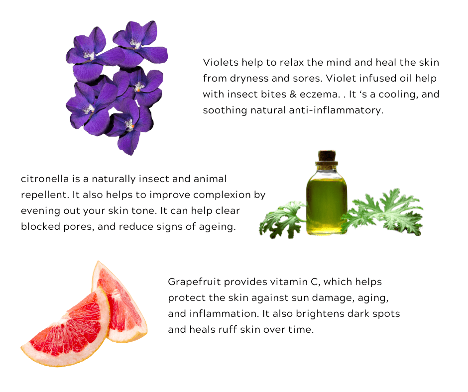 Violet Moon Mango Body Cream - True Royal Universe™ - Lotion - True Royal Universe™